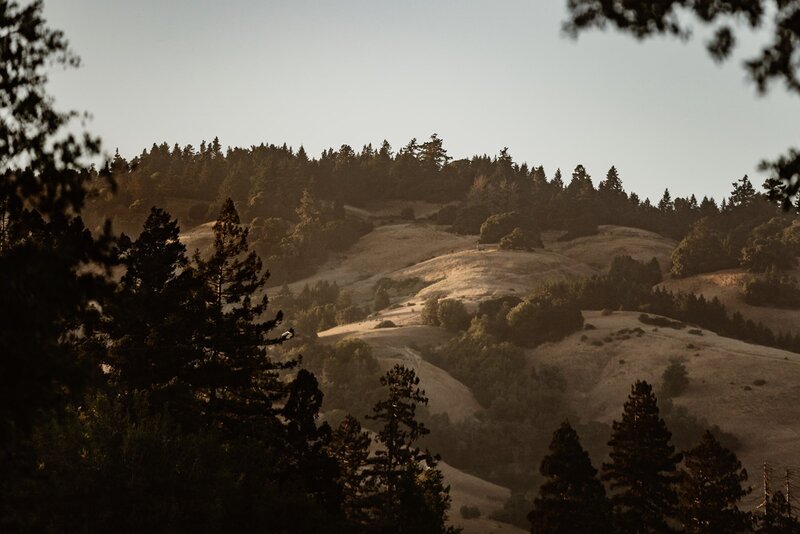 Golden hour light on the Anderson Valley hills between redwoods and oak trees where Northern California winery elopements take place