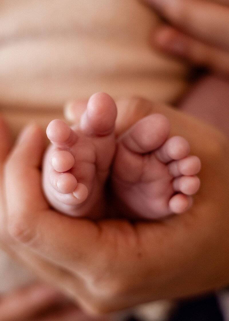 little baby toes details during newborn session in Edmonton