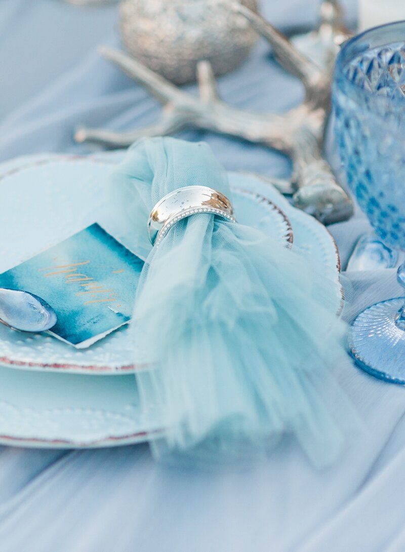 something blue wedding planner luxury nyc USA 