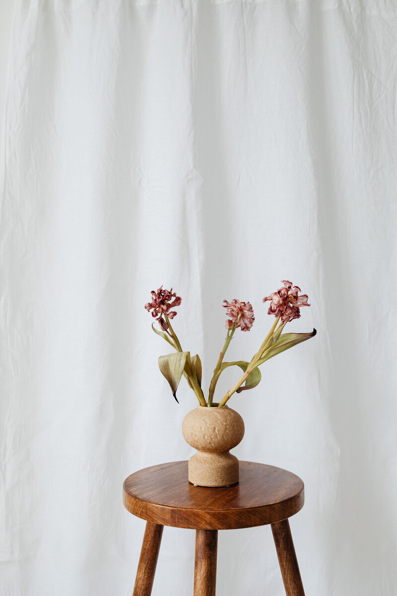 kaboompics_dried-flowers-and-leaves-still-life-backgrounds-21132