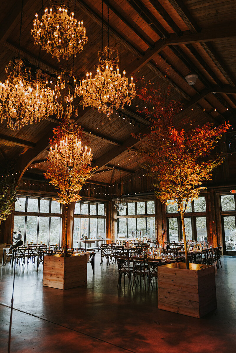 cedar-lakes-rustic-woodland-reception-tables-3