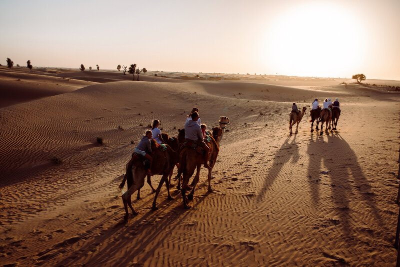 Camel Uschi Camel Trek