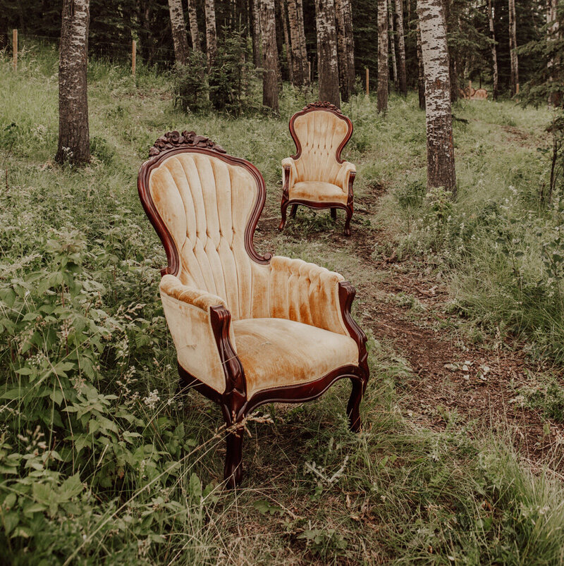 Alice victorian chairs 2-Rori Ranch Rentals