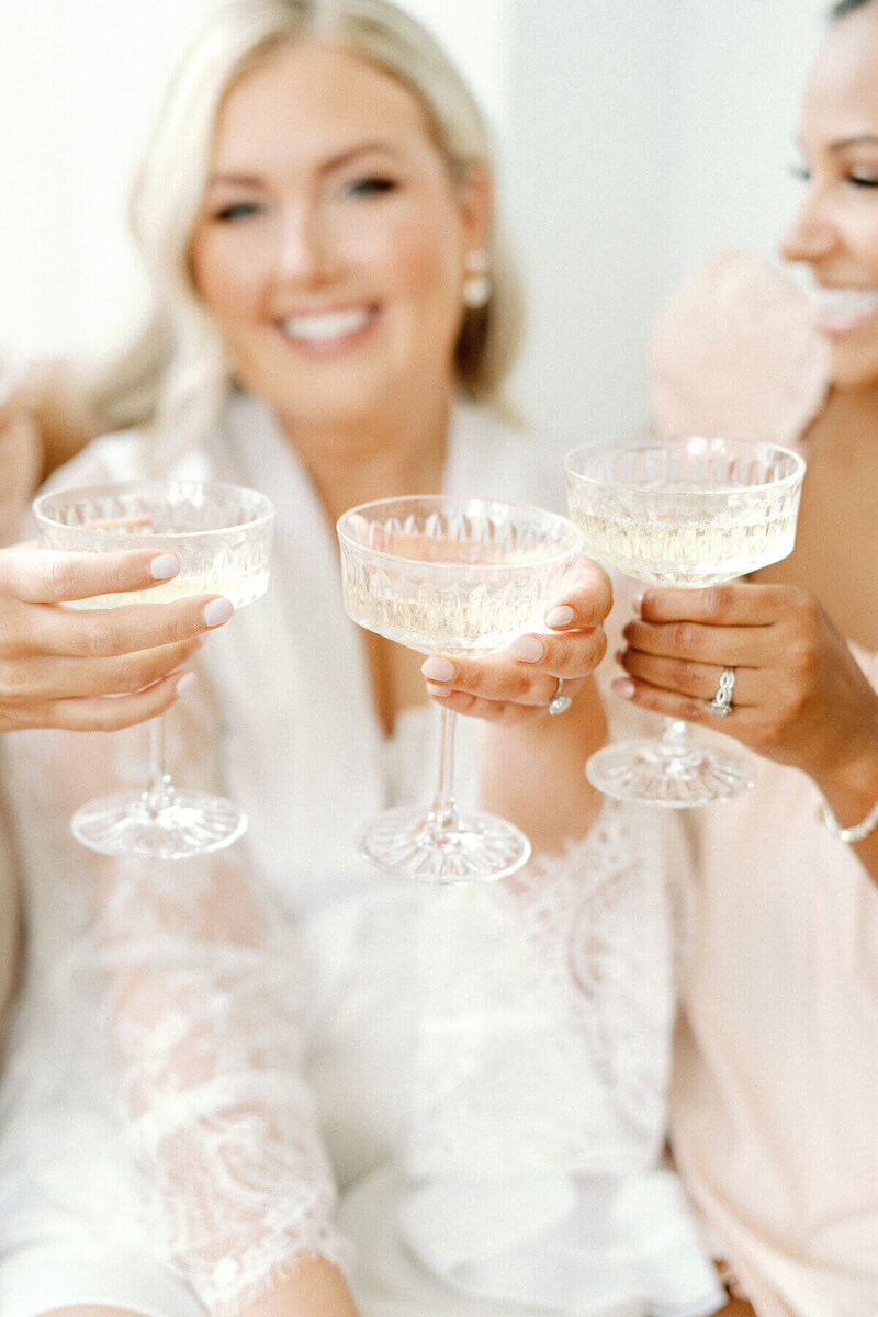 bridal party raising glasses at wedding planned by wedding planners mn