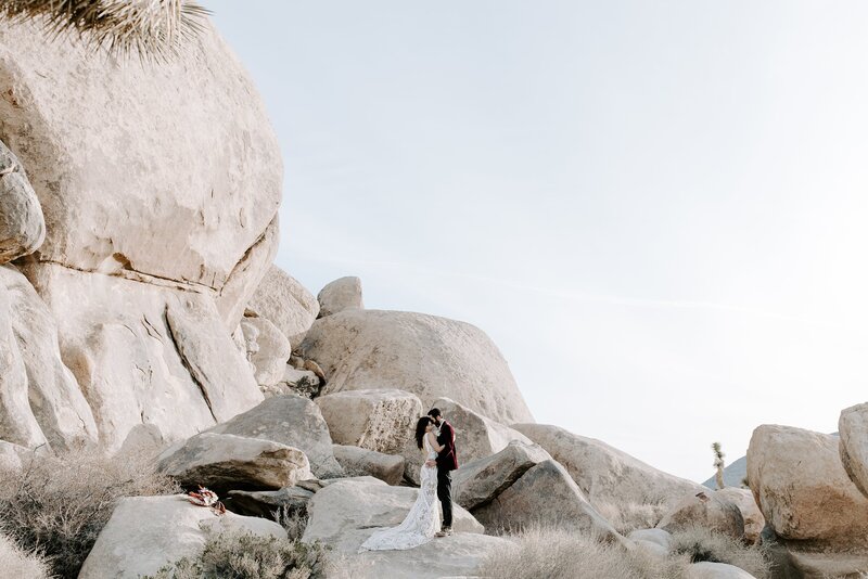 Joshua_Tree_Audrey_Darke_Photography-13