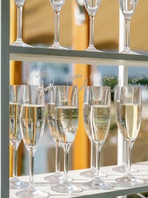 AlexaAlec-Wedding-details-049