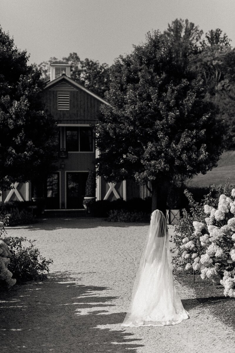 Pippin Hill Wedding Charlottesville Virginia Photographer_02