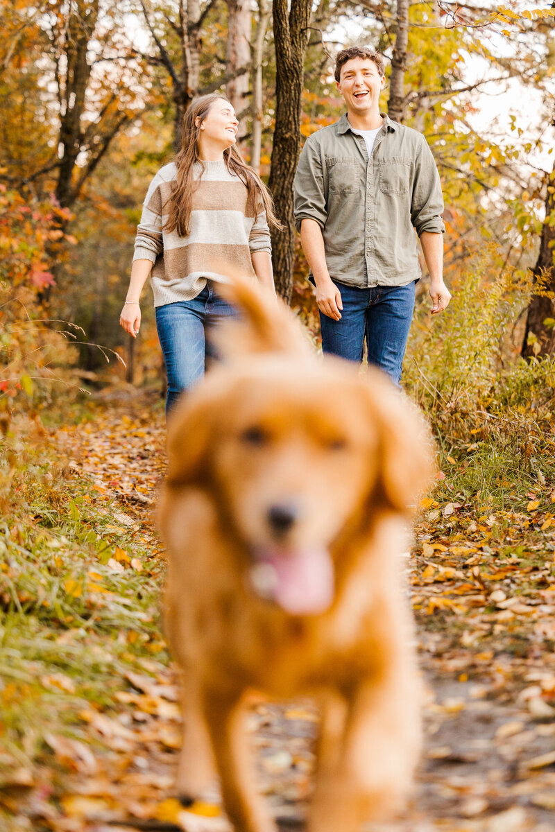Natural Hudson Valley pet photos in Beacon with warm light and easygoing direction