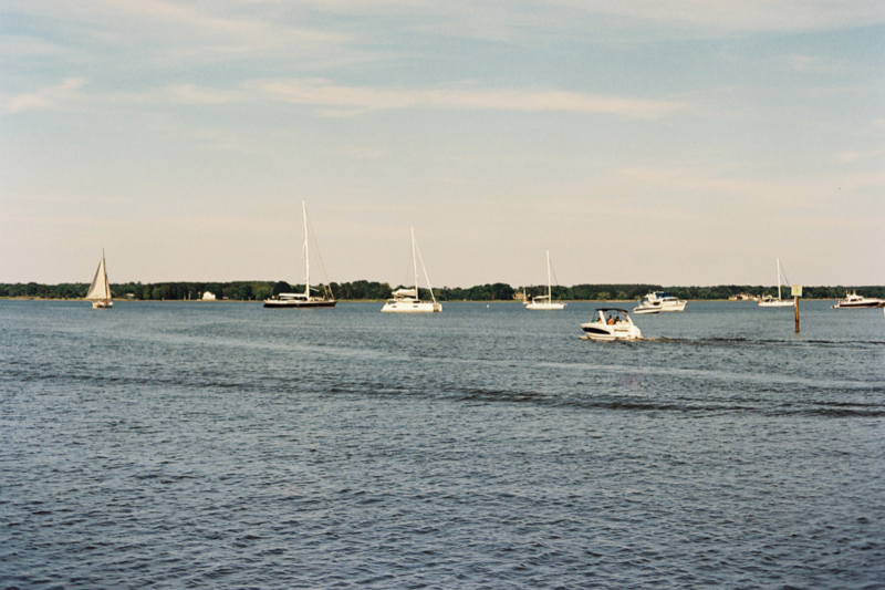 Sailboats in the distance at Chesapeake Bay Maritime Museum
