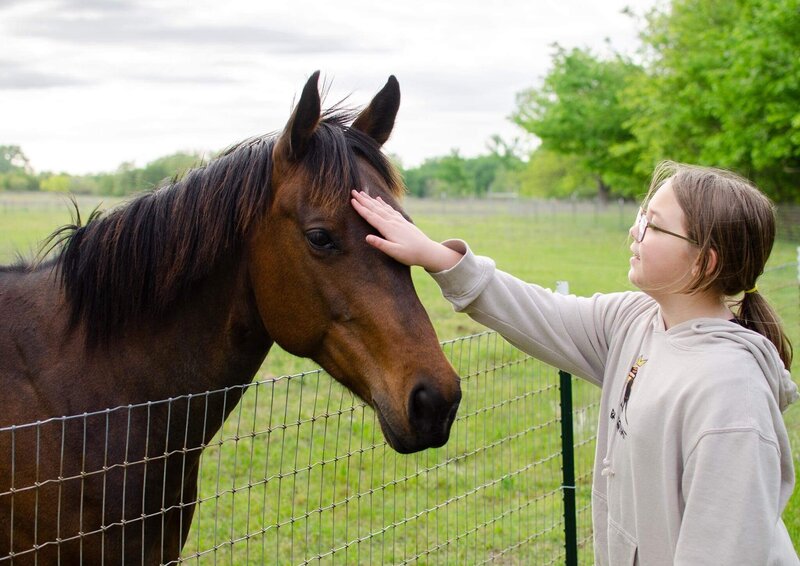 English style riding lessons for all ages in Boyd Texas