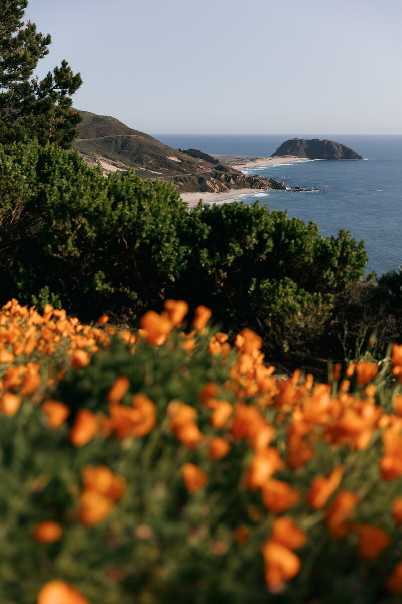 2023_0507_HCD_BigSur_038