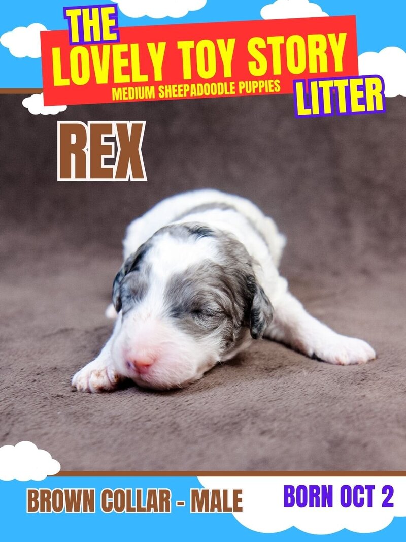 Toy Story - Brown Rex Male