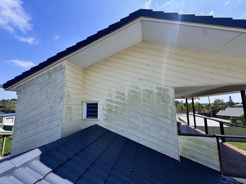 Before photo of a house needing soft wash in Brisbane