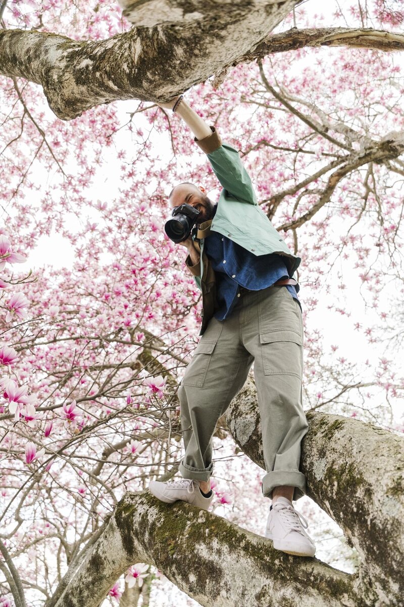 Kenneth climbing a cherry blossom tree to photograph an engagement session