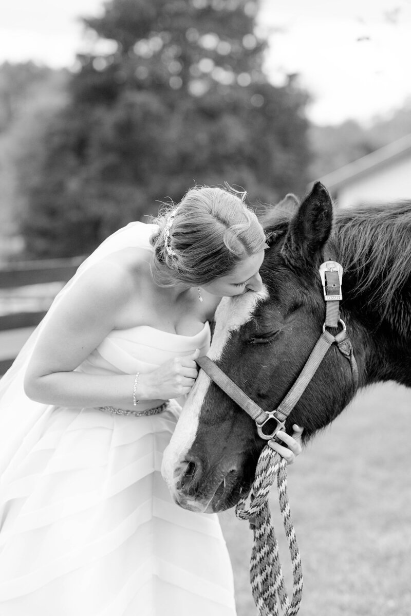 Alison Mae Photography_0536