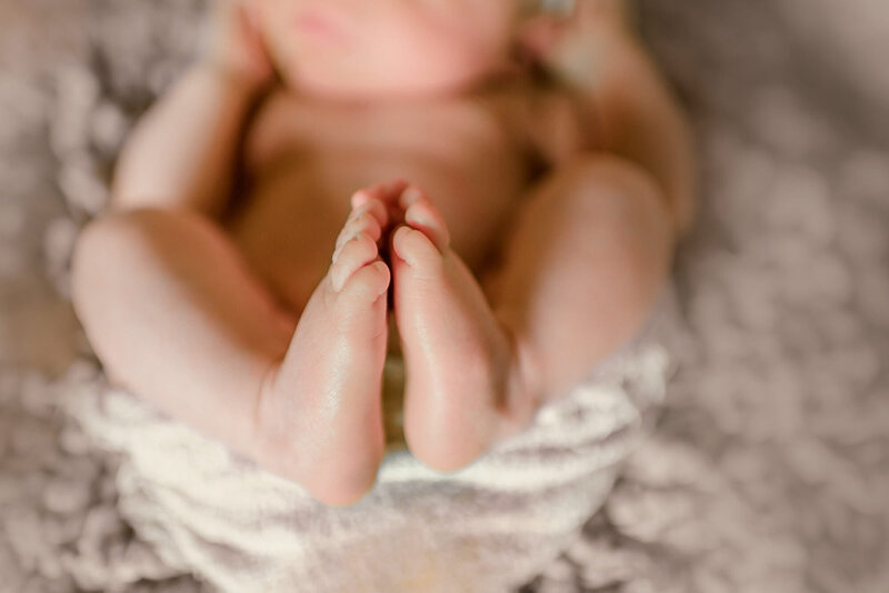 most popular newborn photographers in traverse city michigan