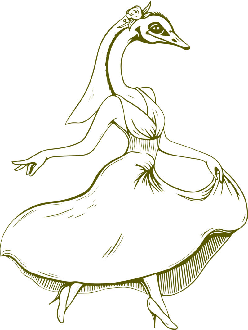 Illustration of Emu Bride