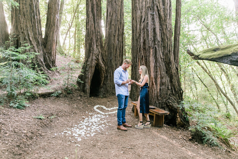 Steelman_Photographers_Big_Sur_Marriage_Proposals-22