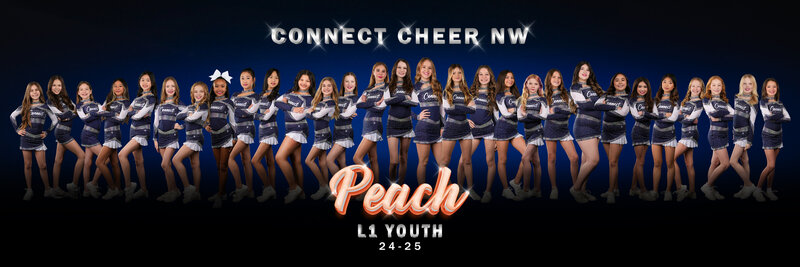 PEACH TEAM 10x30 FINAL