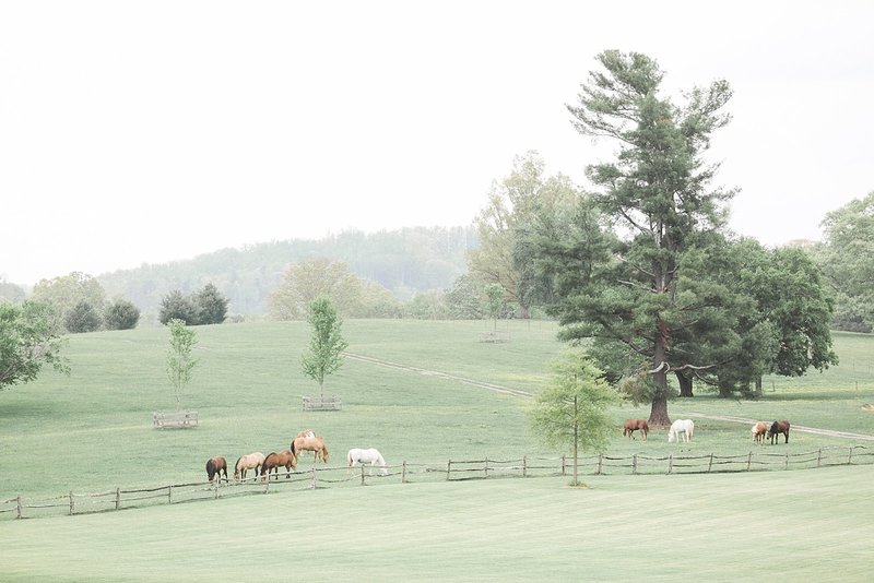 TaylorRanchWedding_BellaWeb_0001