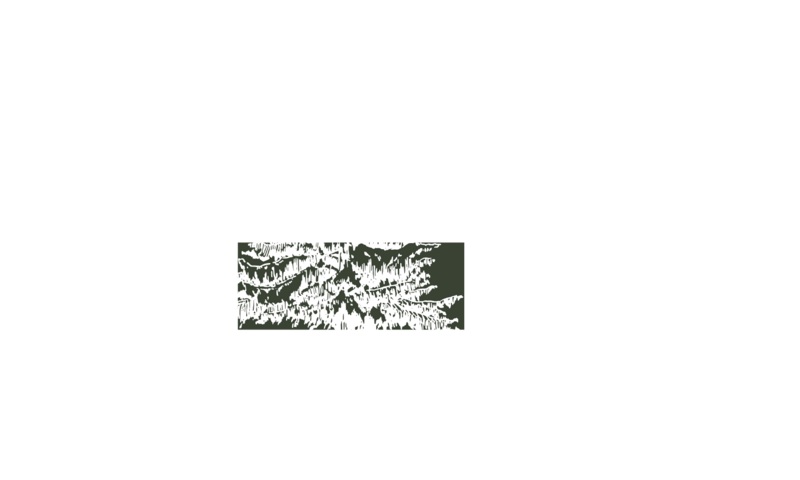 Counseling in Fort Mill, SC