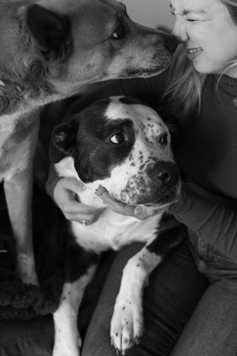Lifestyle photo of Logan Ferree cuddling her dog and kissing the other during her in home lifestyle branding photos