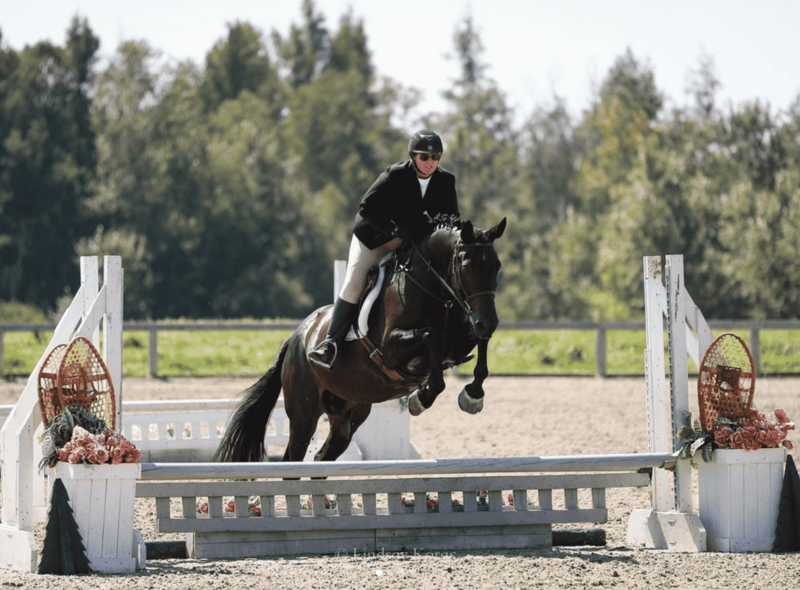 HorseForSaleOntario
