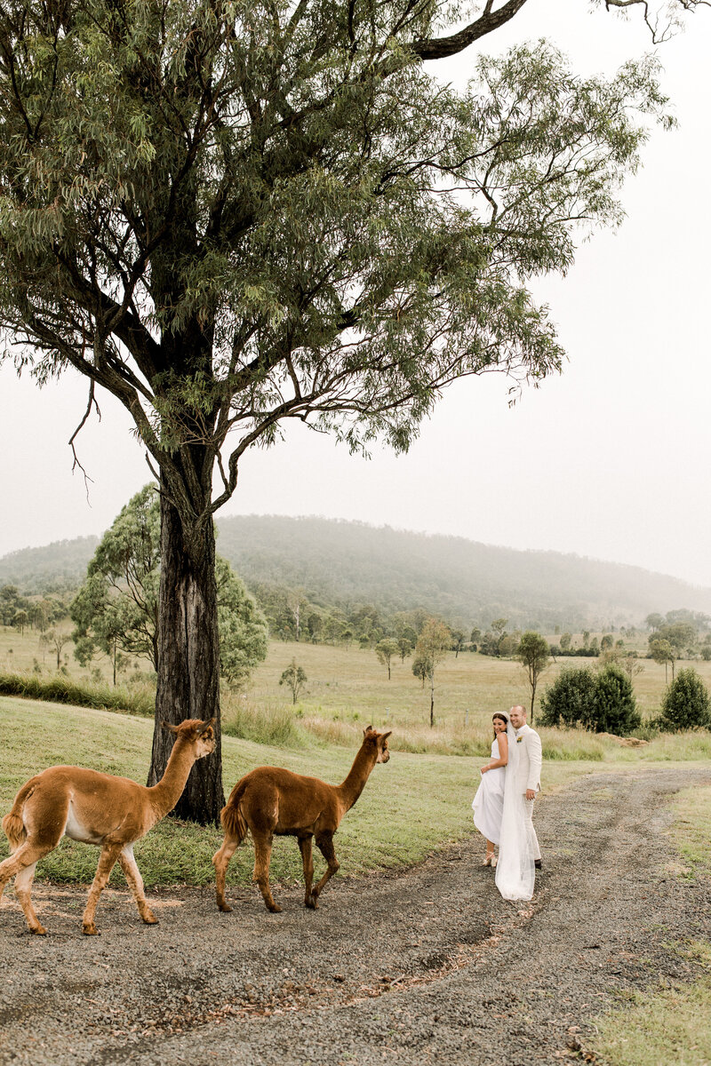 Skyline_Farm_Wedding-61