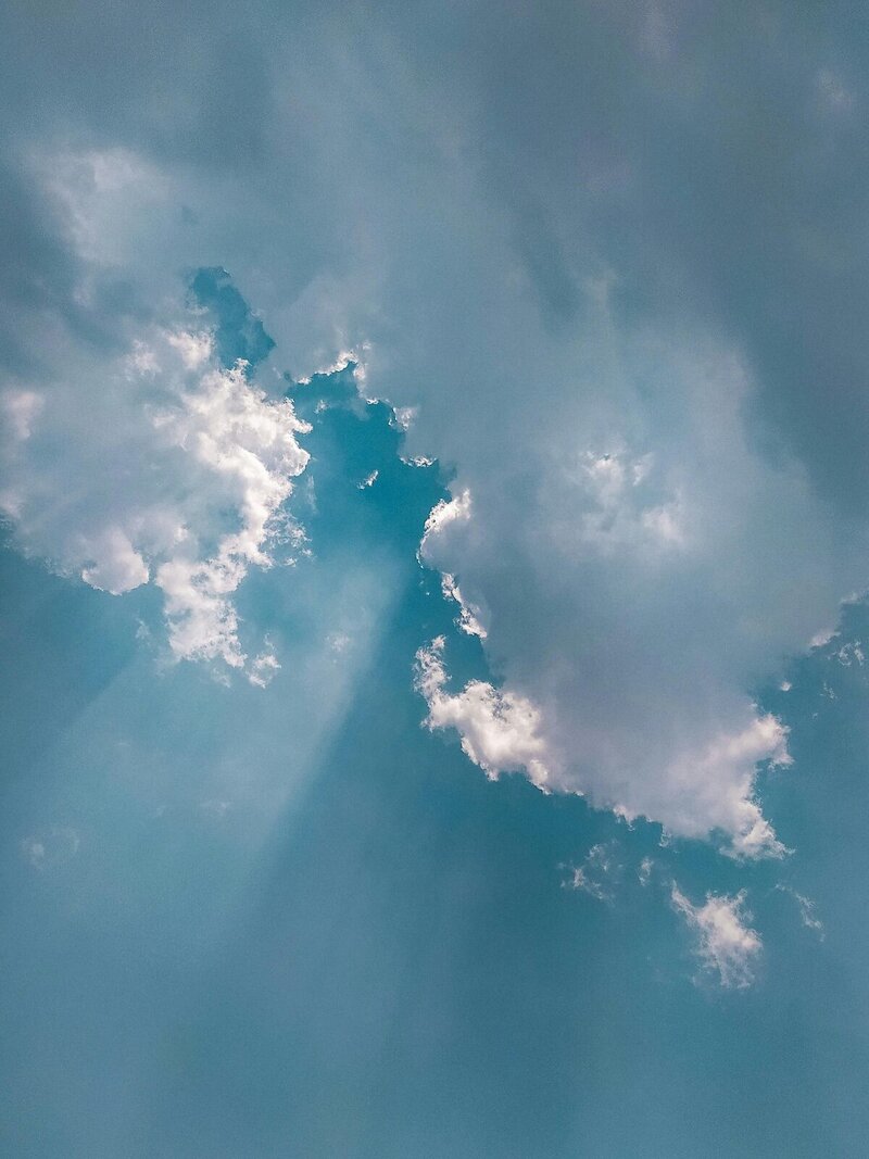 pexels-pacific-3783385