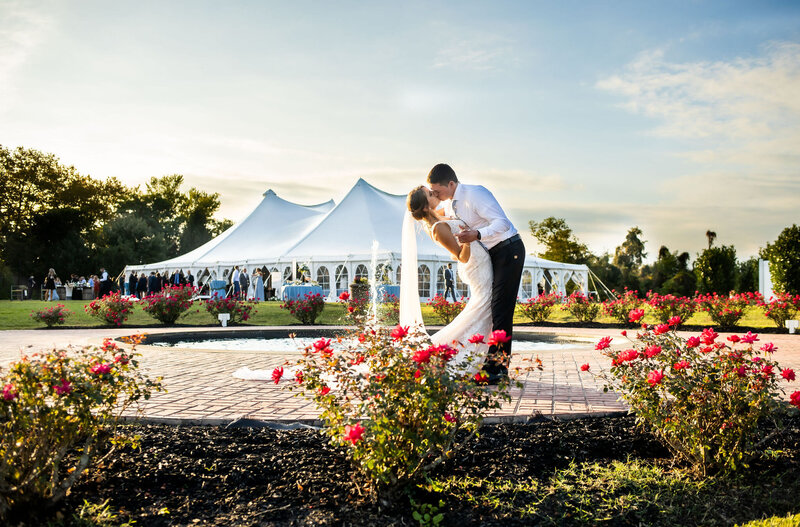 A kiss among the roses at Bohemia Overlook, Maryland Wedding Photographer