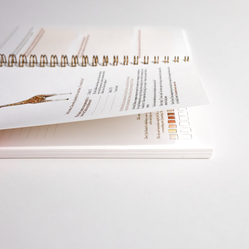 product_cards_workbook-9