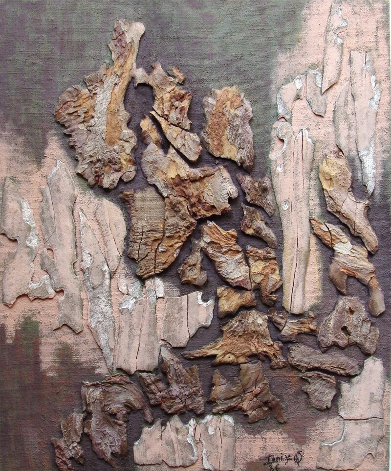 Paul_Teneze_ecorces_37