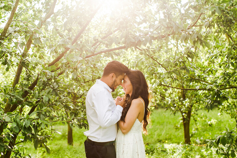 couple in orchard with golden light