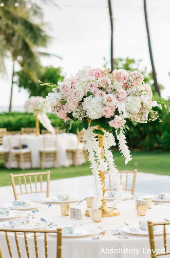 WM Four Seasons ivory linen gold chiavari chairs