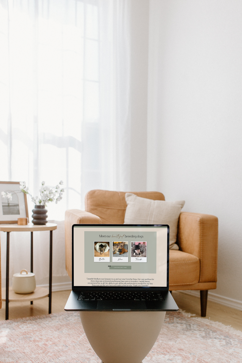 Strategic website design services for small business owners in Tacoma, Washington