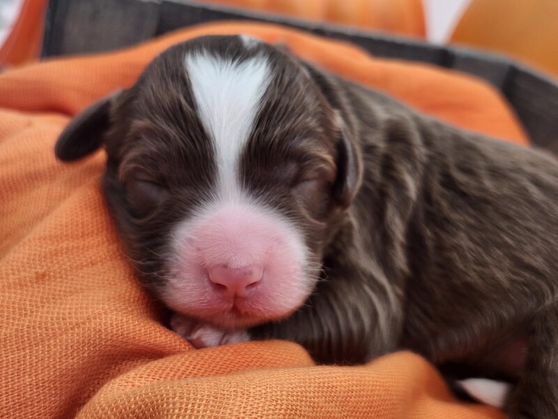 bd34a2e2-921c-4a90-8cb9-82f6f9692d46