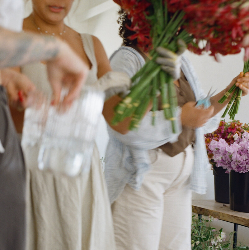 Workshop Snapshot | Amphora Edu