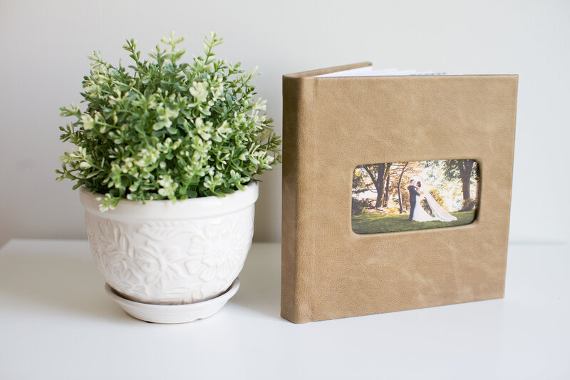 TerraDistressedLeatherCameoCover