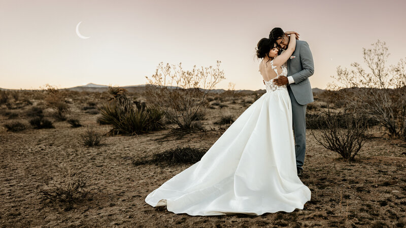 Napa valley wedding photographer services