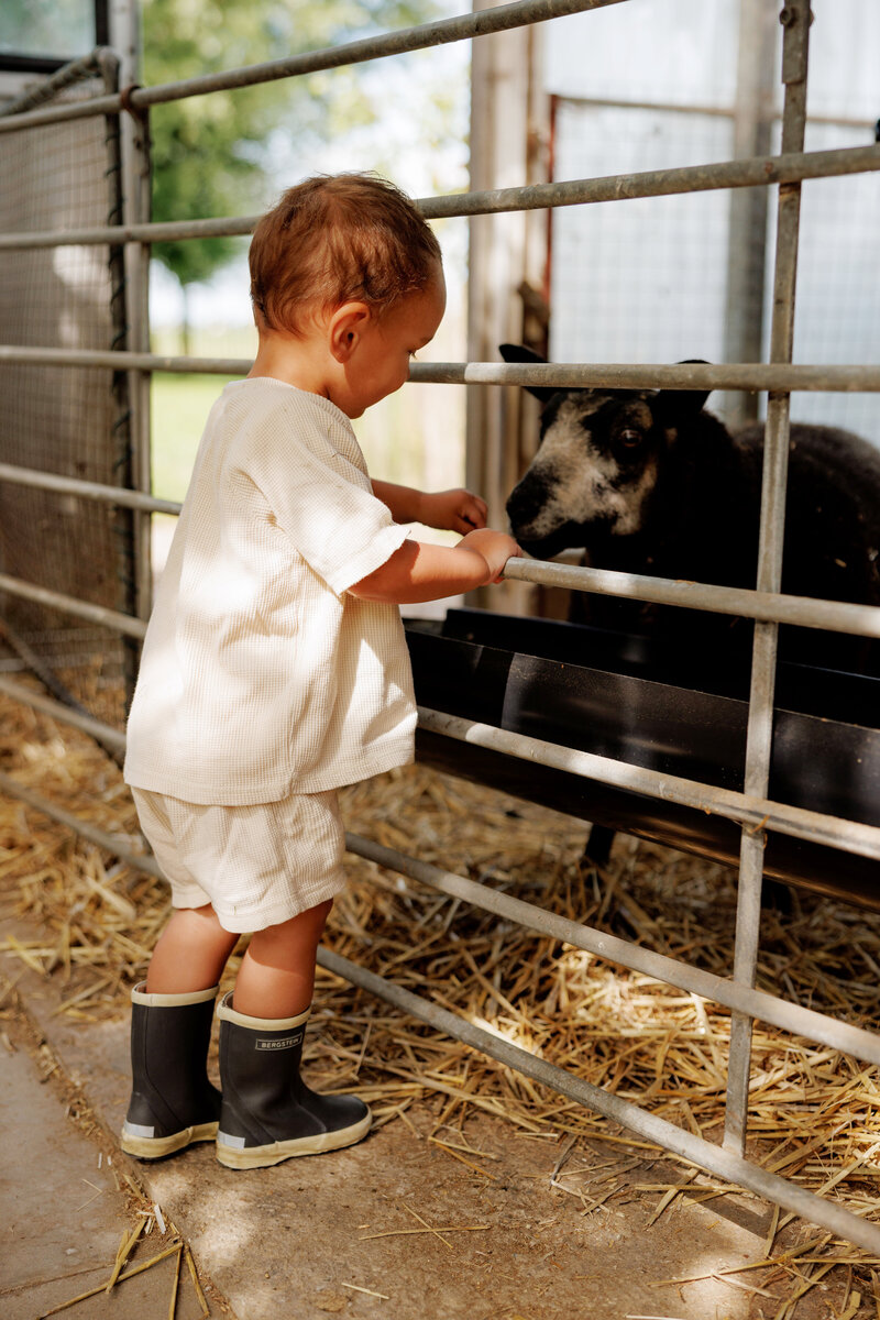 Kind voert een schaap in de stal bij Kinderdagverblijf Bij Ons Op De Boerderij, gekleed in laarzen.