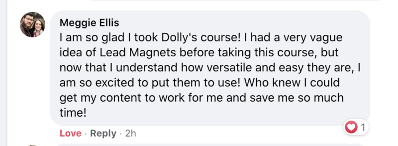 Meggies review about the LM Mini Course