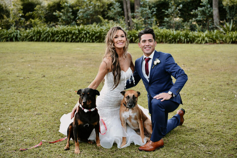 Wedding Couple with their dogs