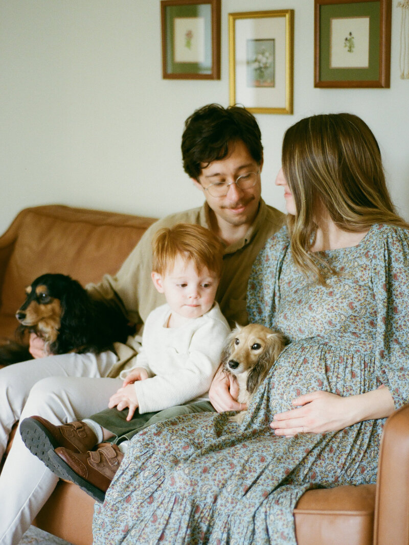 parents snuggle with toddler and dogs during in-home maternity session by family photographer in huntsville