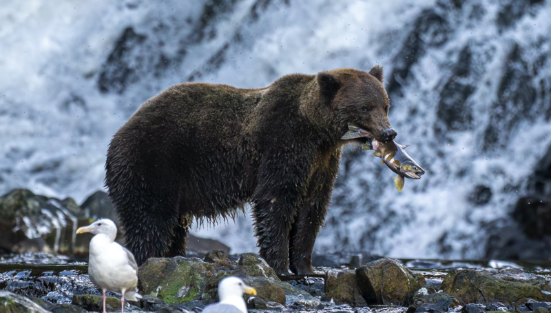 Screenshot 2025-11-03 at 12.44.40 PM