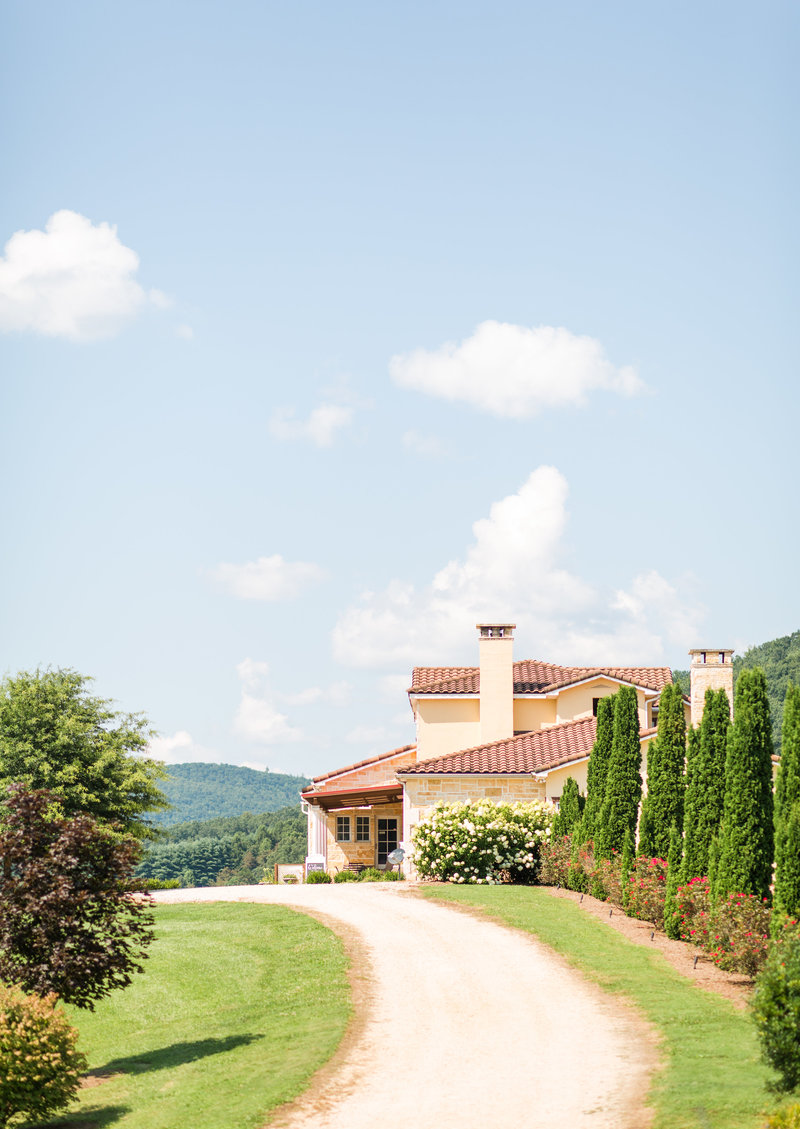 Purple & Teal Villa Nove Vineyards Summer Wedding-84