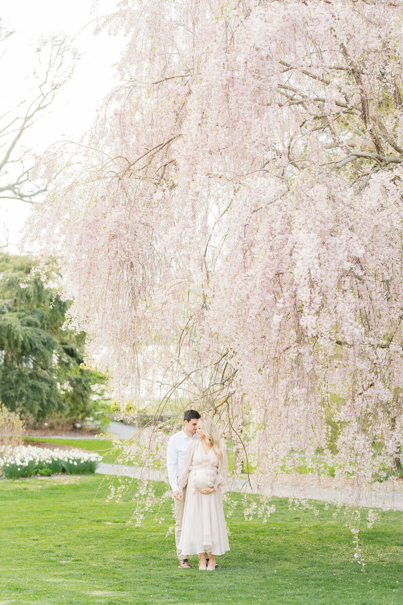 Image at Blithewold Mansion in Bristol, RI of a blooming tree and mom and dad looking at each other with pregnant mom
