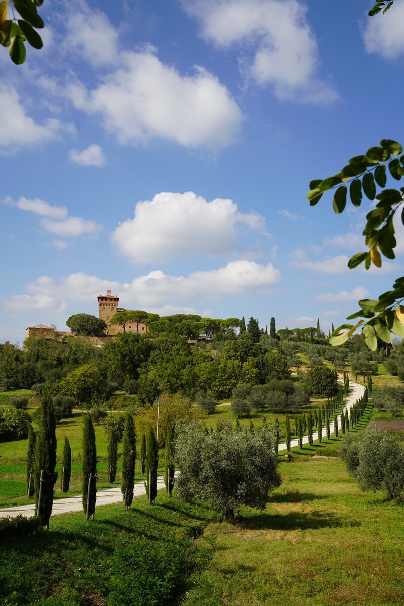 green lush trees and hills with a driveway going up the top of a hill to a Tuscan villa in Tuscany Italy