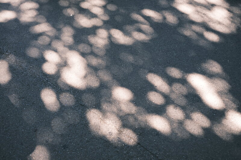 DSCF3061