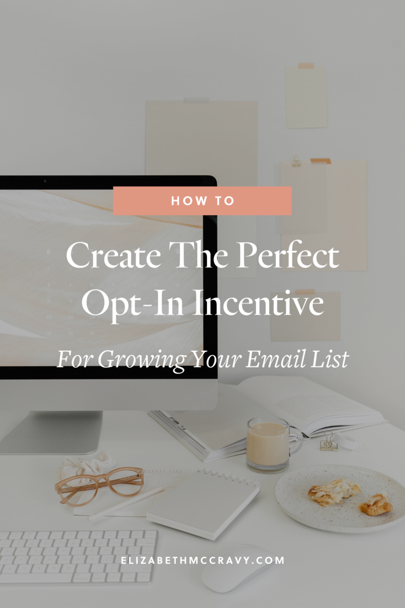 Creating-The-Perfect-Email-Opt-In-Freebie-Elizabeth-McCravy-Pinterest5