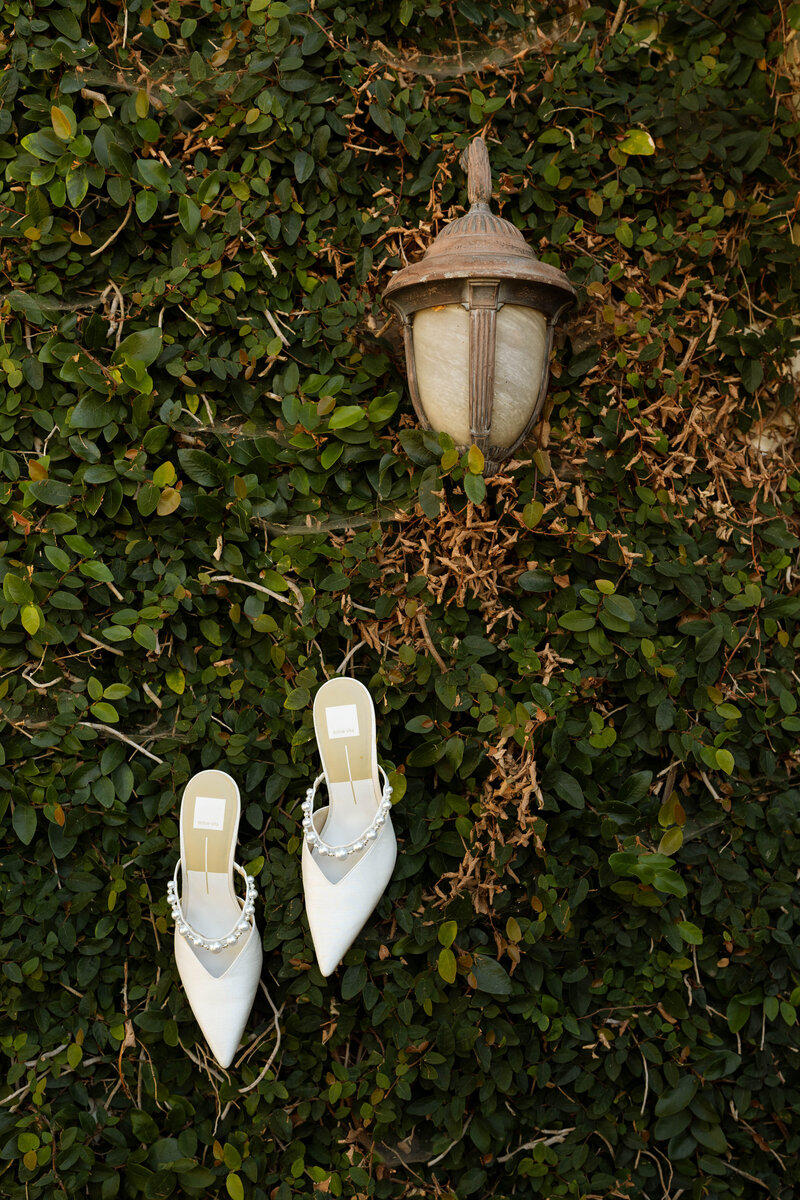 a pair of heels stuck in a bush
